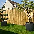Choisir sa <b>clôture</b> en bambou