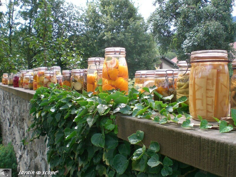 Le jardin et le verger en conserves !