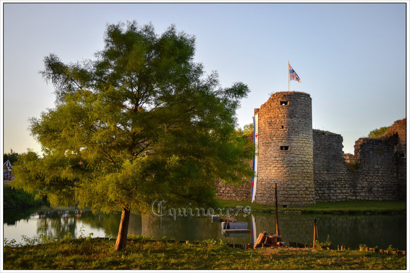 Le Château médiéval de Commequiers (1)