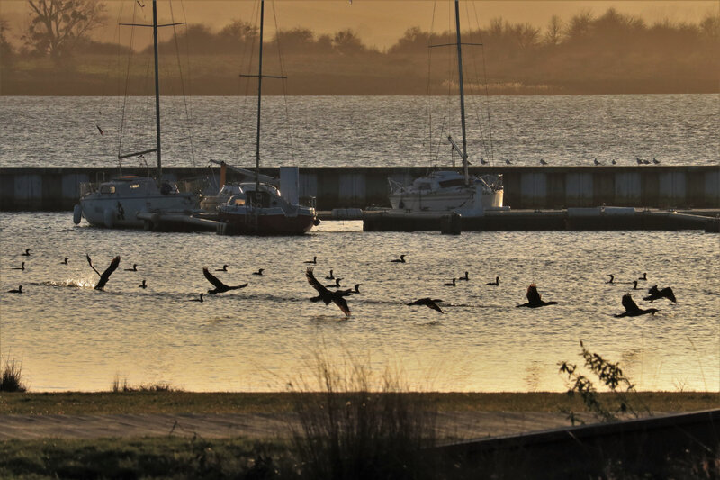 IMG_2002 - Copie