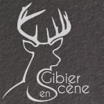 LogoGIbierEnSceneCarre
