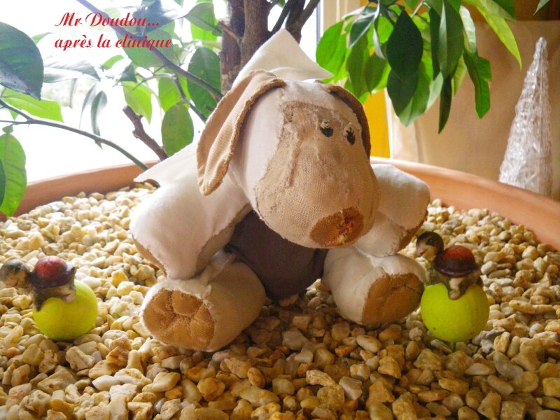 Mr Doudou