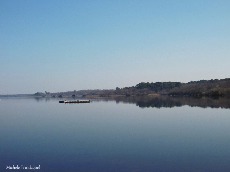 1-Lac de Mimizan 270219