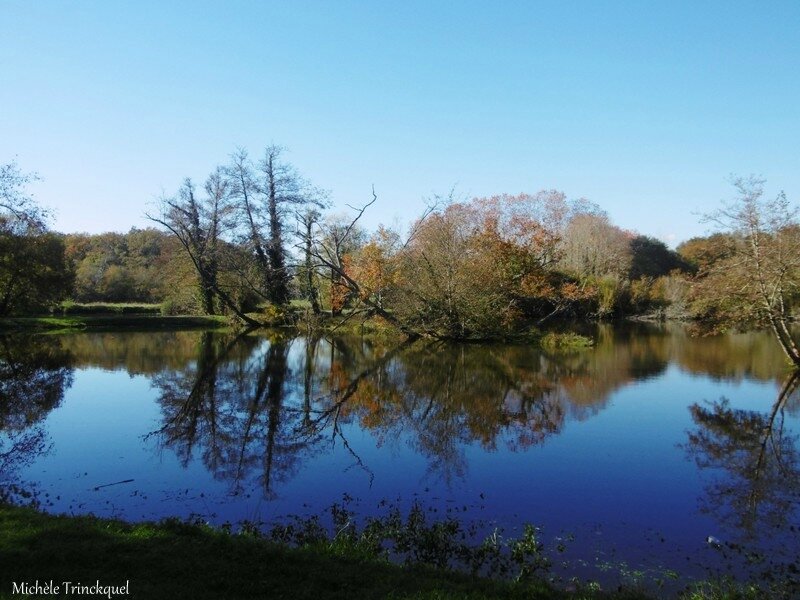 Etangs des Gravières 141117