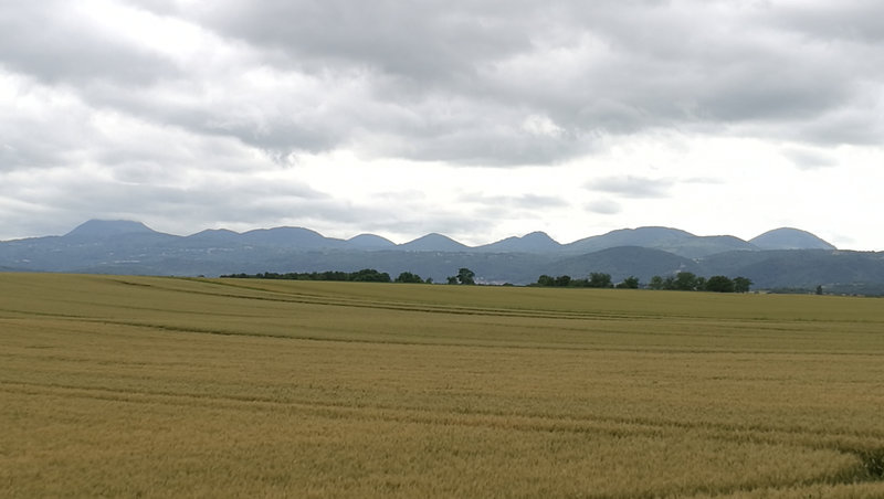 Le Cheix-sur-Morge, champ de blé et chaine des Puys