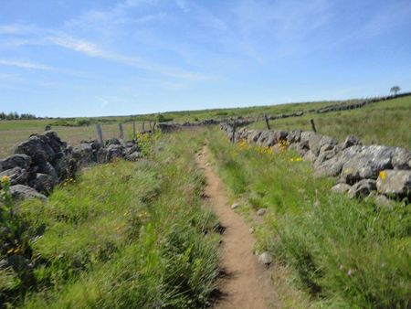 chemin aubrac [800x600]