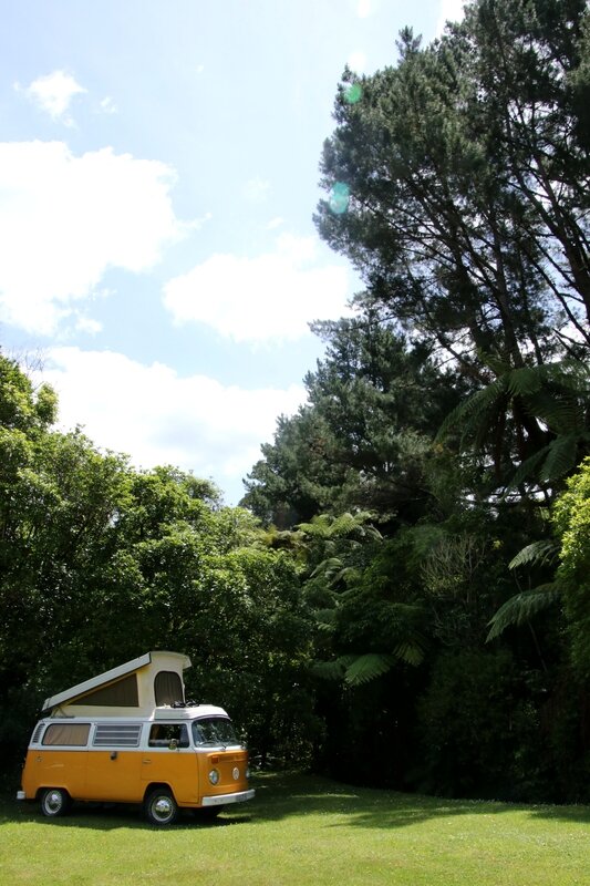 4W7A8584 Whanganui National Park