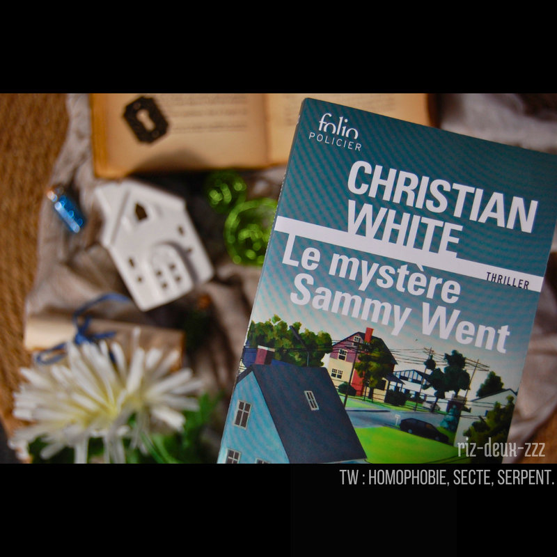 Le mystère sammy went