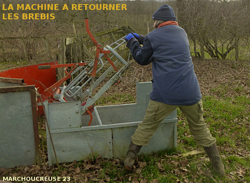 MACHINE A RETOURNER LES BREBIS