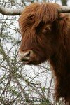 IMG_1034