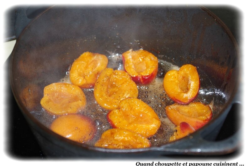 cailles aux abricots-472