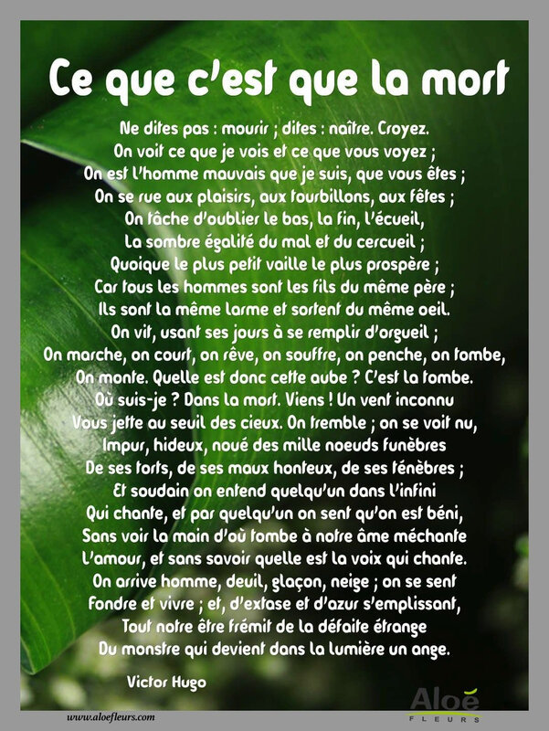 Ce que c'est que la mort