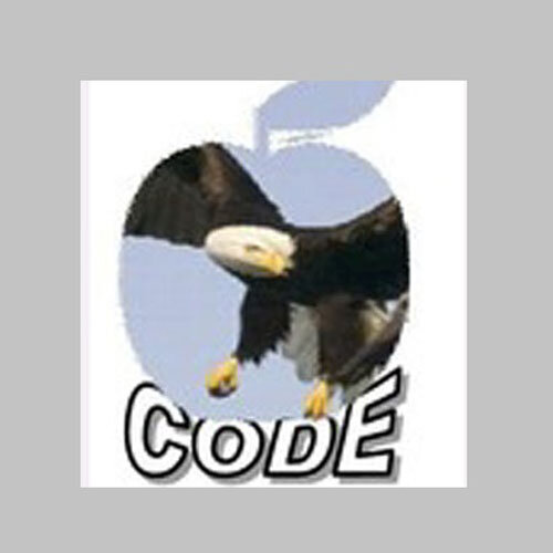 Logo_Code311216500