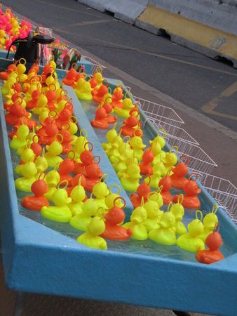 22_09_canards_jaunes