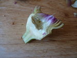 salade_printani_re__7_