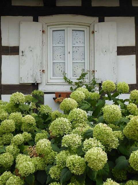 0 28