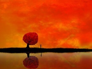 autumn_reflections_by_daewoniii