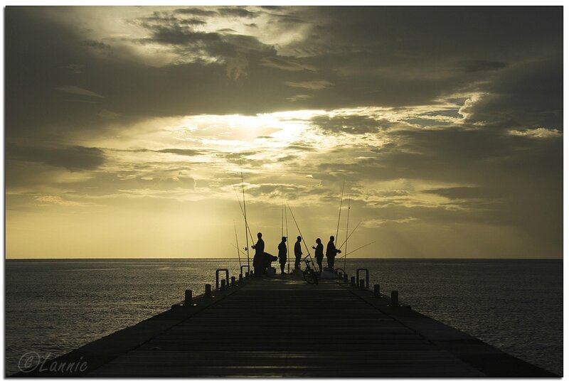 Martinique_201411_1844_Le_Carbet_ponton