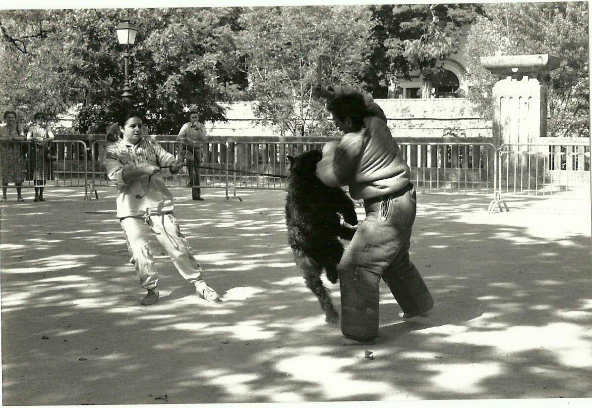 Photo prise en 1987...à VALS LES BAINS ..CADOR DE LA DULLAGUE