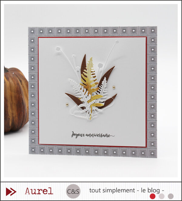 081020 - Carte Joyeux anniversaire - DT C&S Consignes Célinette #2