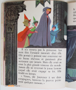 LA-BELLE-AU-BOIS-DORMANT-5-Albums-roses-muluBrok