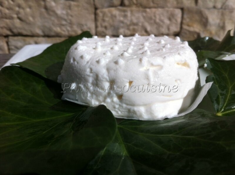 photo 2 (21)
