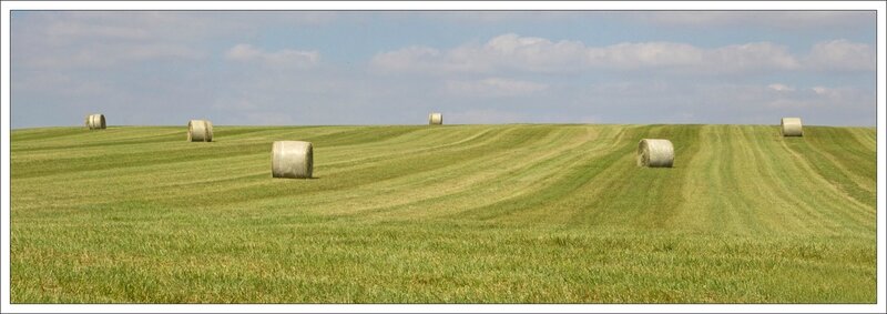 plaine paysage balles lignes 050914