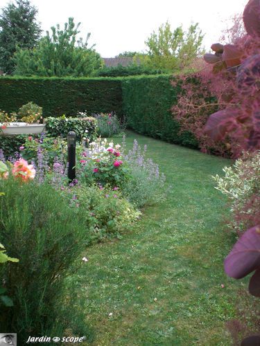 Jardin juin 2009