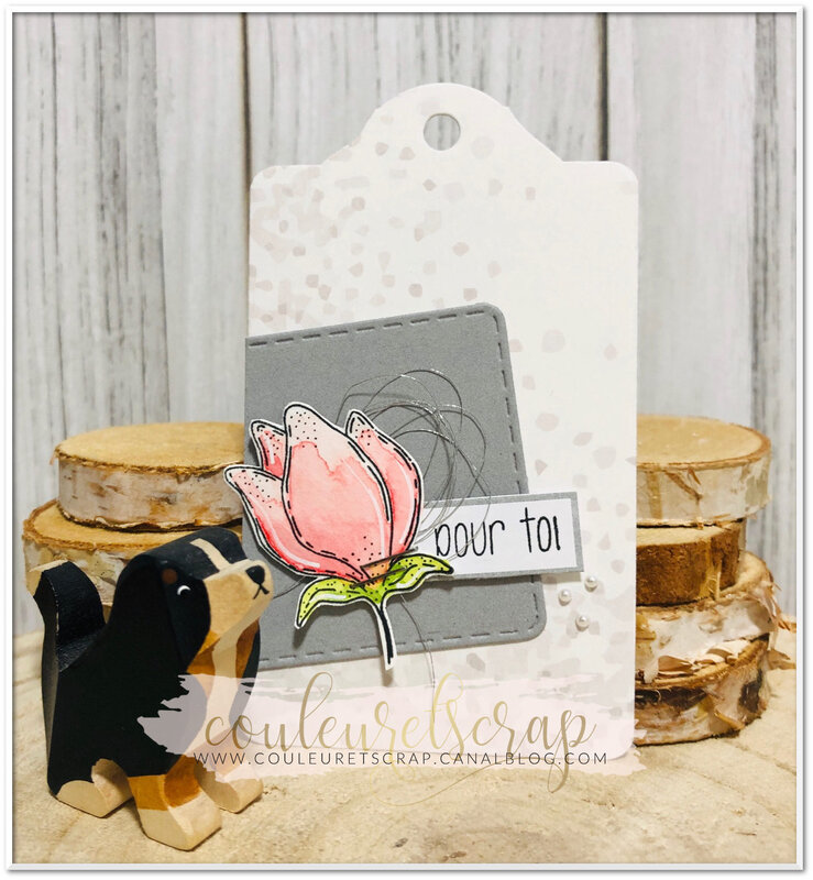 Couleuretscrap_carte_anniversaire_Little_sketch_étiquette_pourtoi