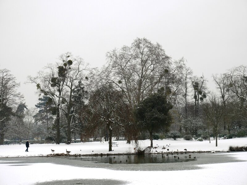 Bois de Vincennes sous la neige @bavardagesMyrtilleTaff