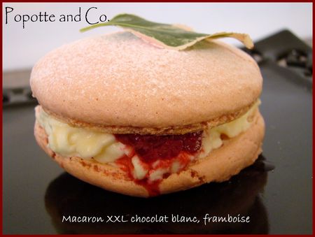 macaron_xxl_1