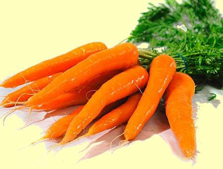 95-09-29 Carottes 2