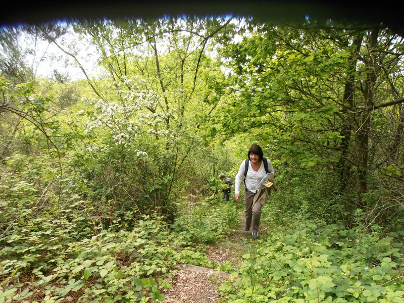 170 - Terril du 6 Hornu-Wasmes - escalade