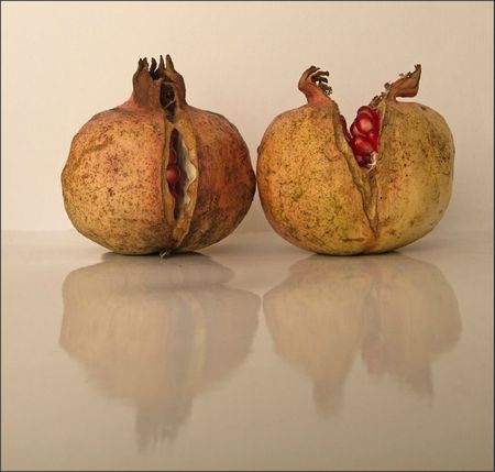 grenades cote a cote 131111