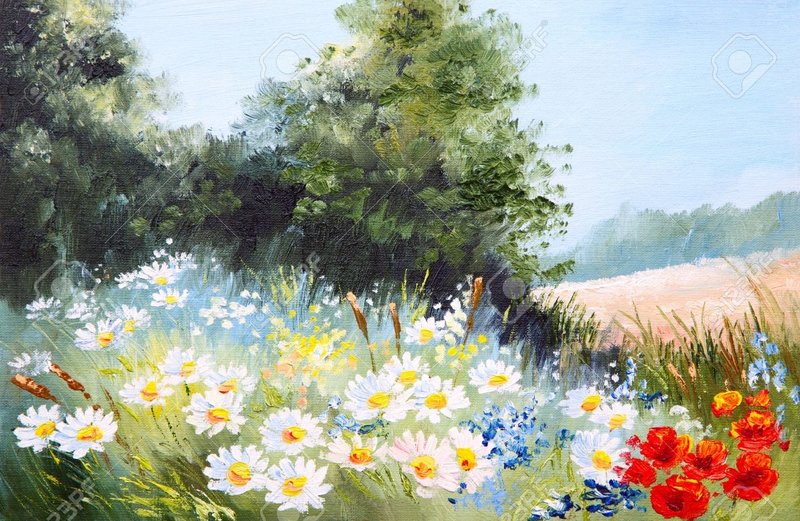 35891099-oil-painting-landscape-meadow-of-daisies-nature
