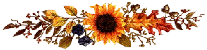 Gif barre scintillante automne soleil et feuillage 300 pixels