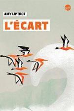 CVT_L-Ecart_2411