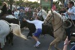 Feria_de_Palavas_20084