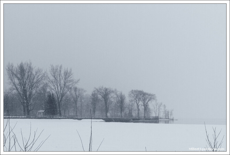 IMG_2741-1