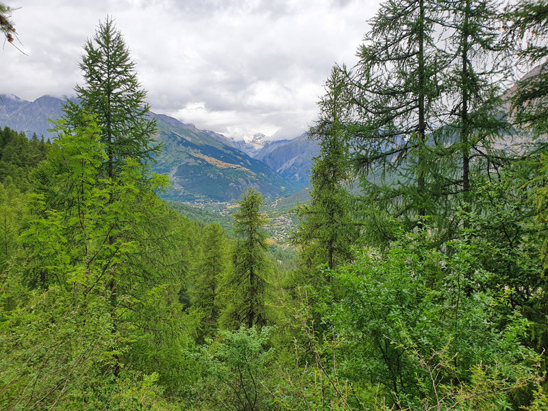 Tout au fond, le Glacier Blanc. Devant, Vallouise