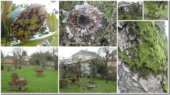 jardin 13 janvier 20243