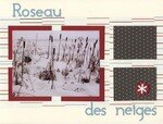 Roseau_des_neiges