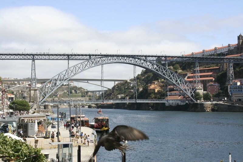 Porto 261