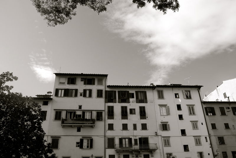 Piazza_Brunelleschi___Version_3