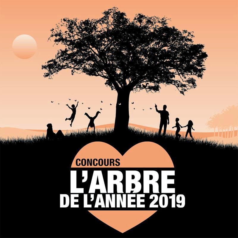 L'Arbre de l'Année 2019