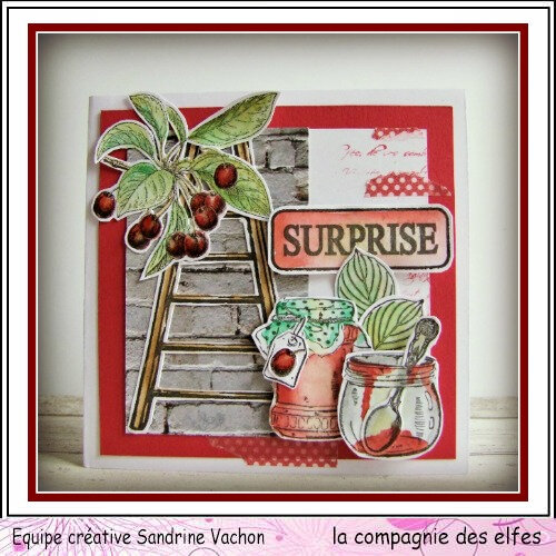 Sandrine VACHON dt LCDE
