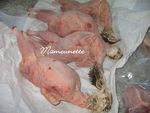 Cailles_de_la_Vall_e_de_la_vie___Mach___leveur_et_producteur_008