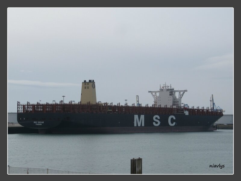 msc oscar 2