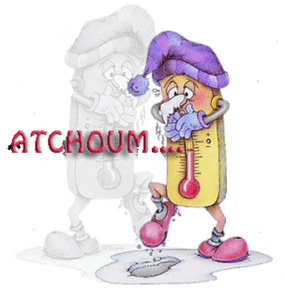 atchoum[3]