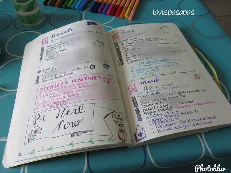 laviepasapas_bujo8